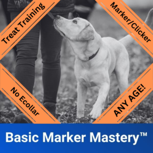 Basic Marker Mastery™