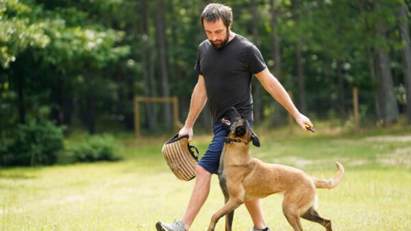 Shane Shane Hutchins, Metro Atlanta dog trainer with Off Leash K9 Training Georgia, experienced in protection sports and Dutch Shepherd training